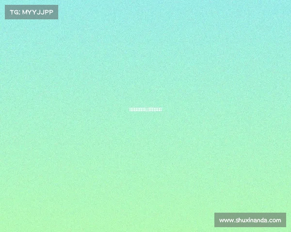 拳击的赛事组织,拳击比赛组织